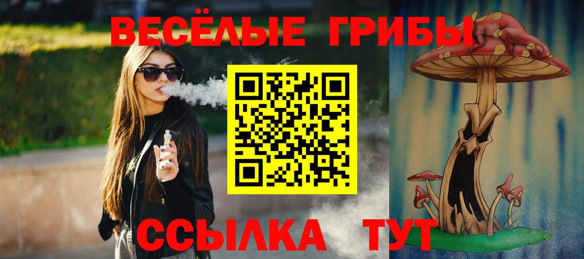 Псилоцибиновые грибы Cubensis  Вход с VPN  Волоколамск 